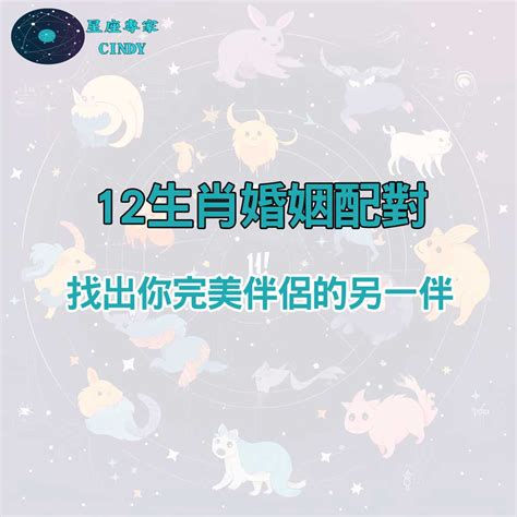 牛生肖配對|完美配對：12生肖婚姻配對